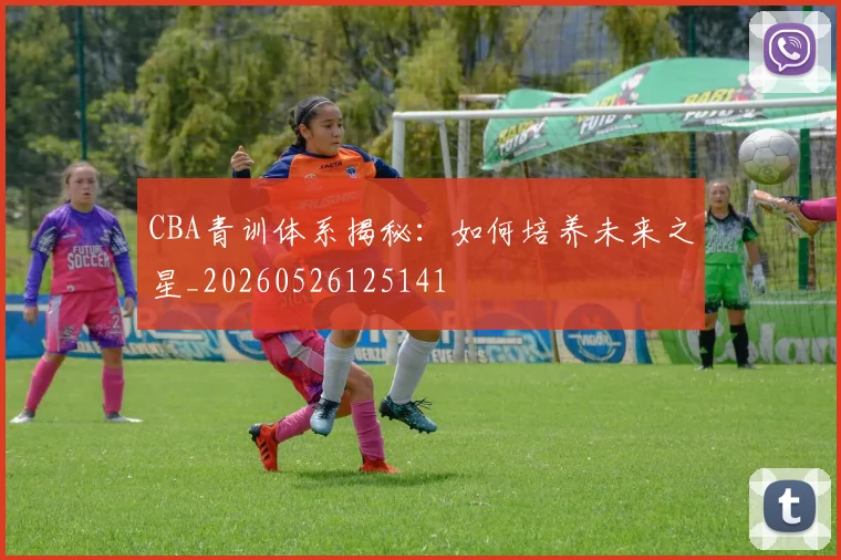 CBA青训体系揭秘:如何培养未来之星_20260526125141