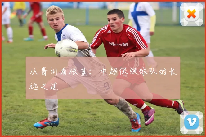 从青训看根基：中超保级球队的长远之道